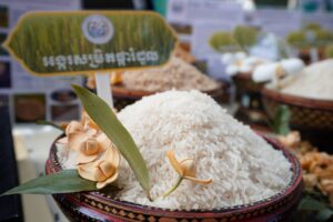 កម្ពុជា រកចំណូលបានជាង៤ពាន់លានដុល្លារ ពីការនាំចេញកសិផលជាង១១លានតោន ក្នុងរយៈពេល១០ខែឆ្នាំនេះ